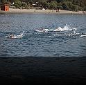 Comen Cup 2009 458